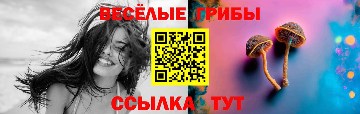 Галлюциногенные грибы Magic Shrooms  Вход с VPN  купить наркотик  Сунжа  Галлюциногенные грибы Cubensis 